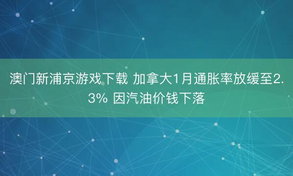 澳门新浦京游戏下载 加拿大1月通胀率放缓至2.3% 因汽油价钱下落
