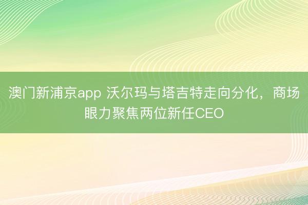 澳门新浦京app 沃尔玛与塔吉特走向分化，商场眼力聚焦两位新任CEO