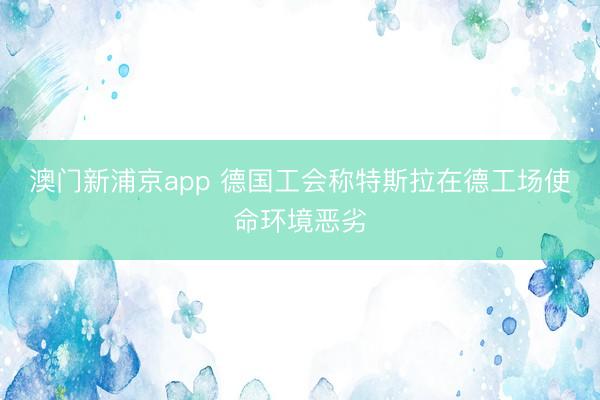 澳门新浦京app 德国工会称特斯拉在德工场使命环境恶劣