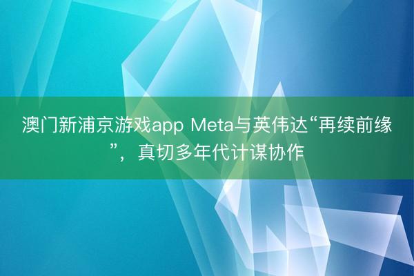 澳门新浦京游戏app Meta与英伟达“再续前缘”，真切多年代计谋协作