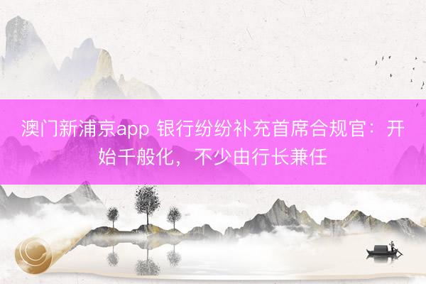 澳门新浦京app 银行纷纷补充首席合规官：开始千般化，不少由行长兼任
