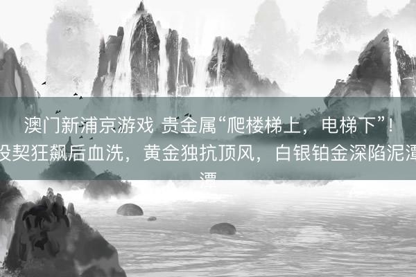 澳门新浦京游戏 贵金属“爬楼梯上，电梯下”！投契狂飙后血洗，黄金独抗顶风，白银铂金深陷泥潭