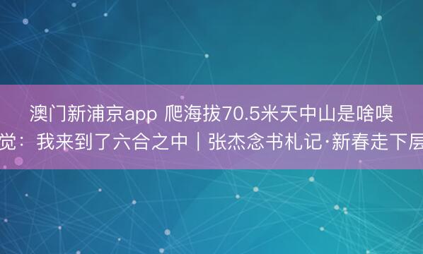 澳门新浦京app 爬海拔70.5米天中山是啥嗅觉：我来到了六合之中｜张杰念书札记·新春走下层