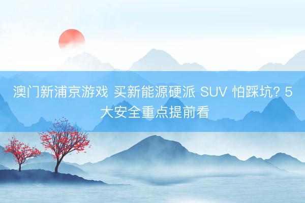 澳门新浦京游戏 买新能源硬派 SUV 怕踩坑? 5 大安全重点提前看
