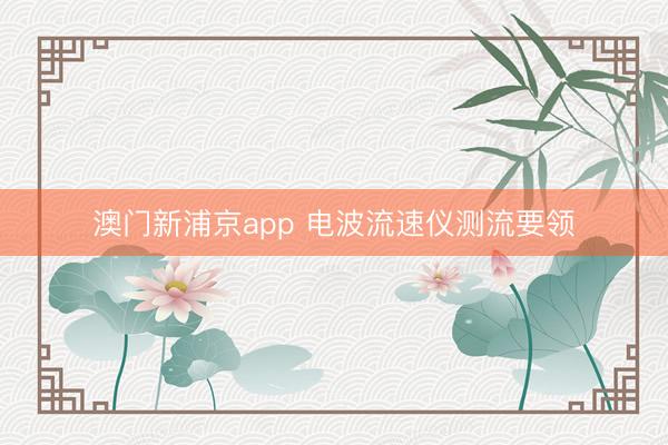 澳门新浦京app 电波流速仪测流要领