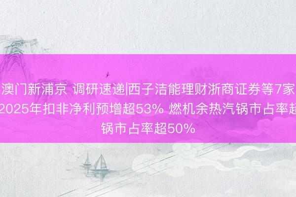 澳门新浦京 调研速递|西子洁能理财浙商证券等7家机构 2025年扣非净利预增超53% 燃机余热汽锅市占率超50%
