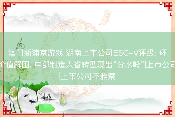澳门新浦京游戏 湖南上市公司ESG-V评级: 环保企业价值解围, 中部制造大省转型现出“分水岭”|上市公司不雅察