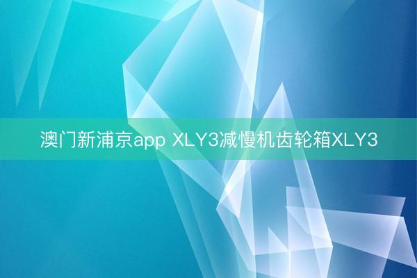 澳门新浦京app XLY3减慢机齿轮箱XLY3