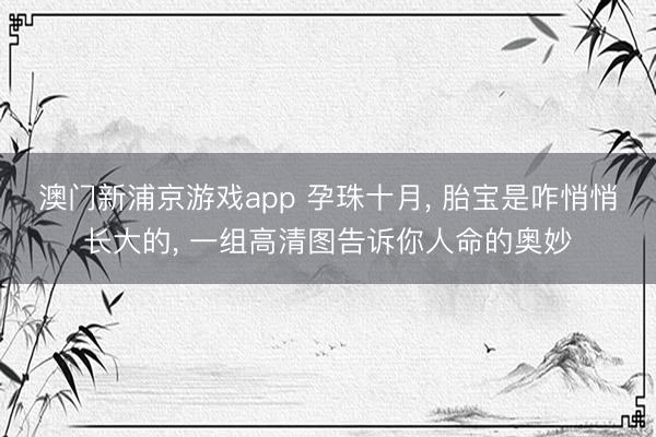 澳门新浦京游戏app 孕珠十月， 胎宝是咋悄悄长大的， 一组高清图告诉你人命的奥妙