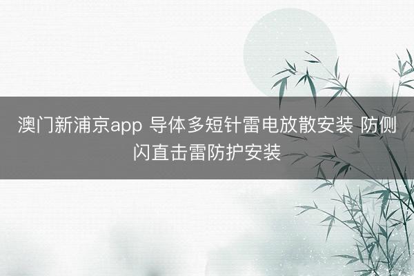 澳门新浦京app 导体多短针雷电放散安装 防侧闪直击雷防护安装