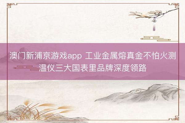 澳门新浦京游戏app 工业金属熔真金不怕火测温仪三大国表里品牌深度领路